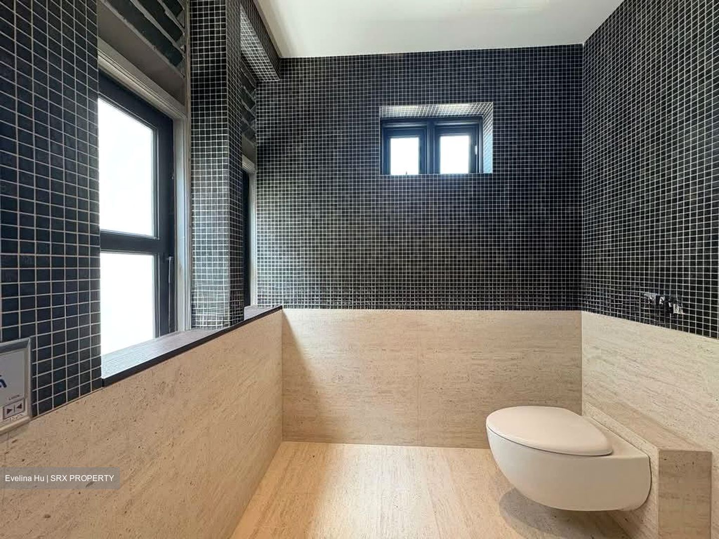 Keong Saik Road (D2), Shop House #602973951